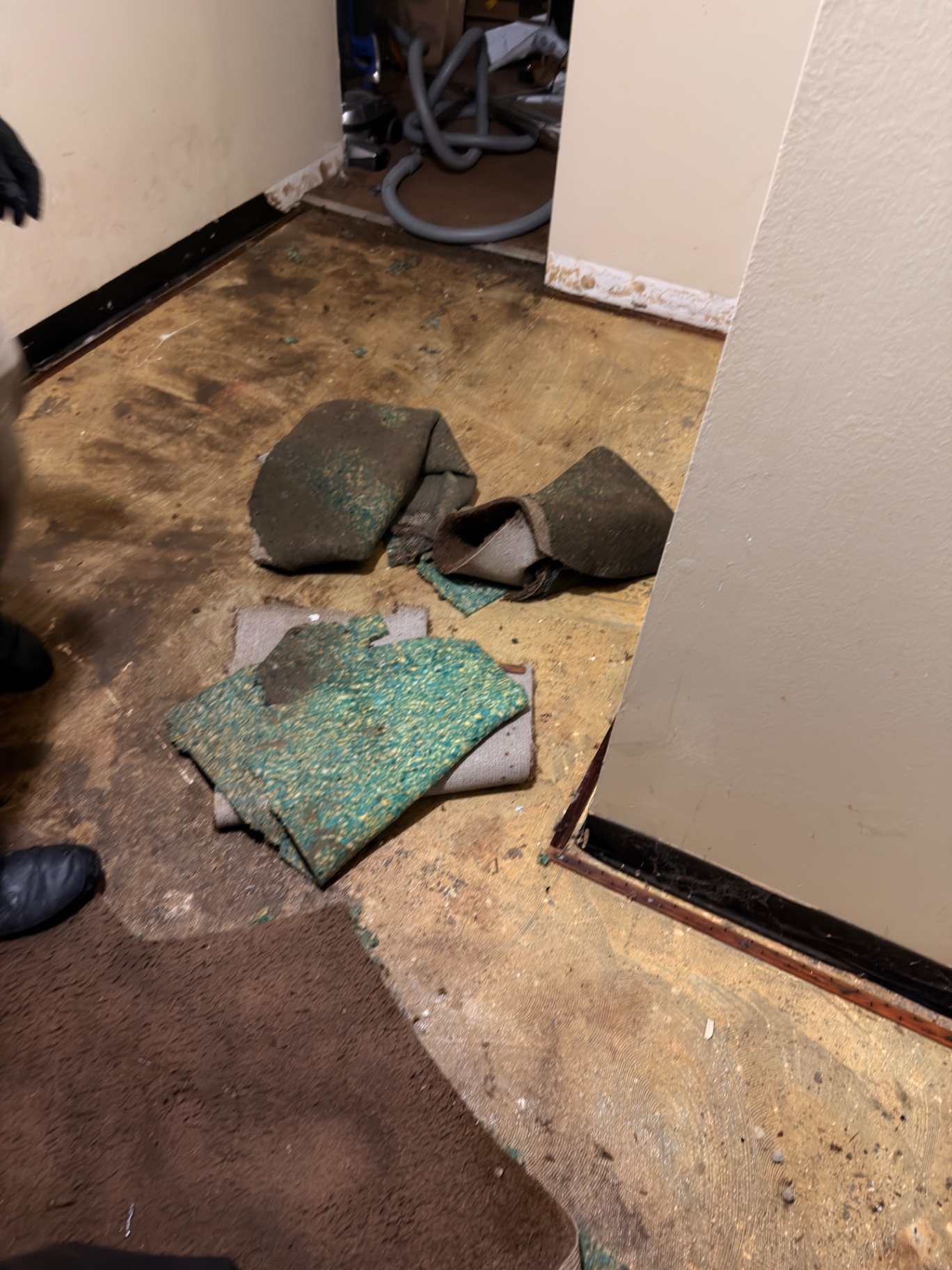 Water-damaged carpet and padding removed during extraction