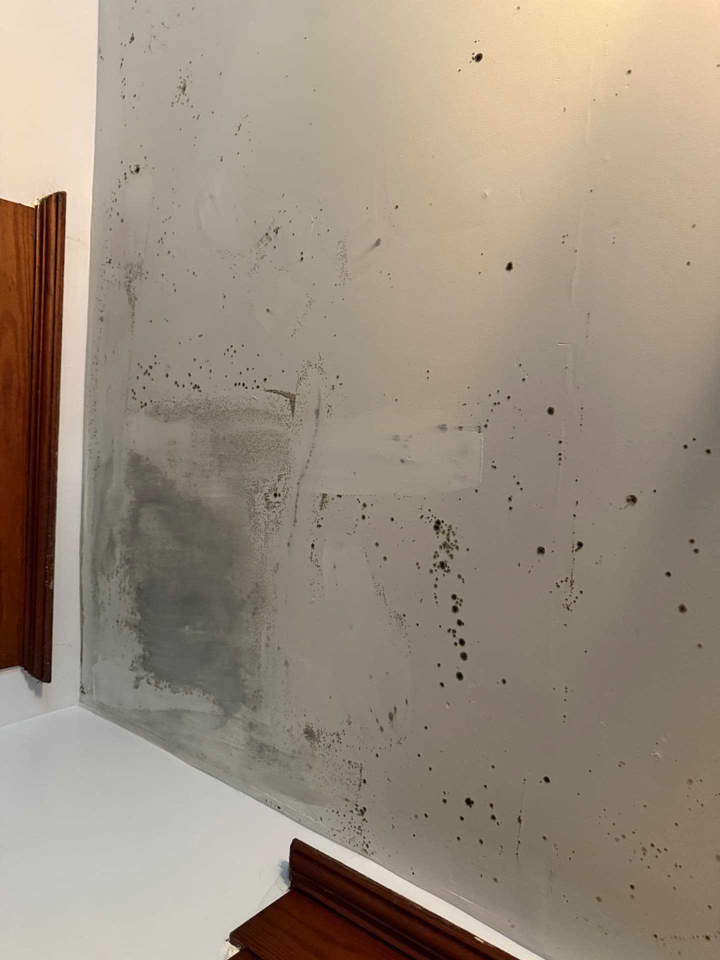 Mold growth spreading across a ceiling and upper wall before remediation in a Central Ohio home