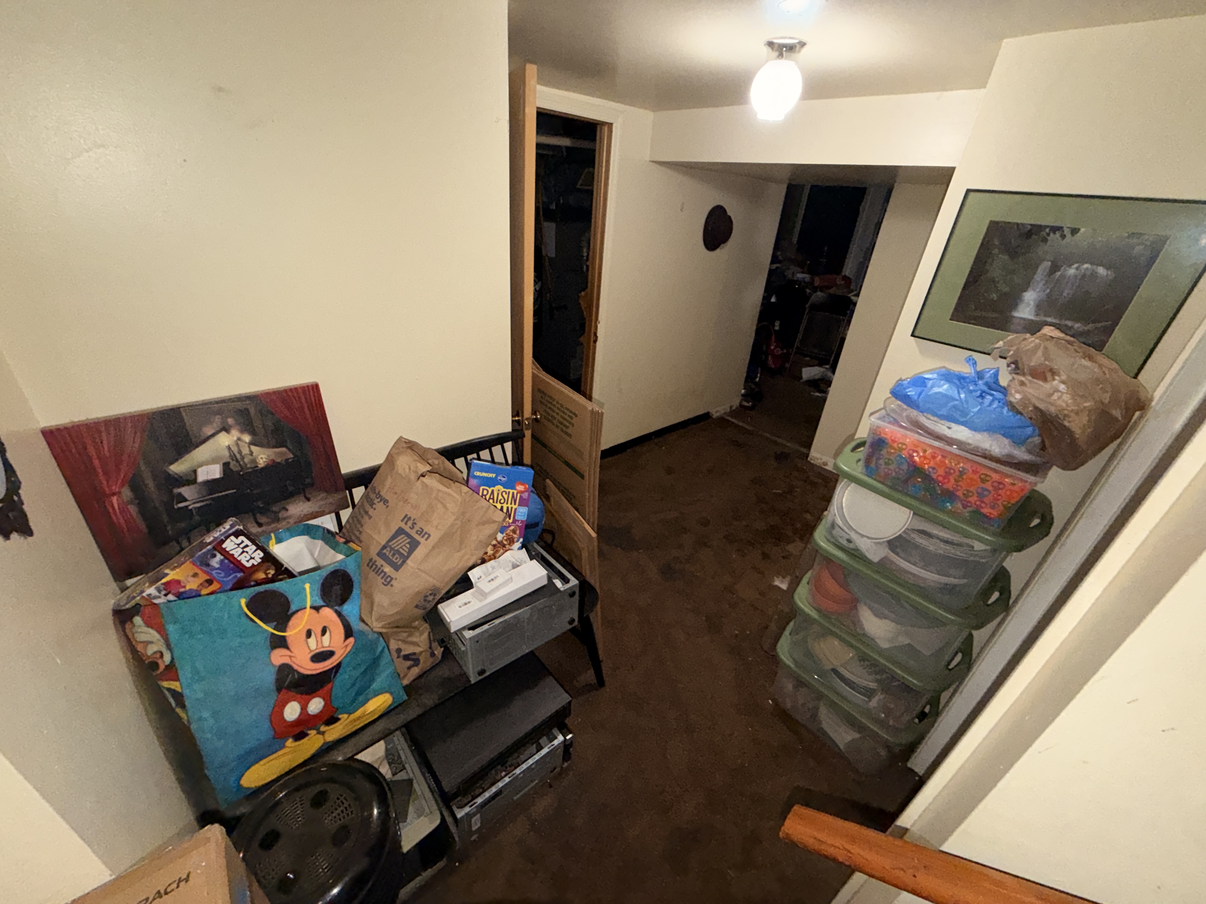 Flood-damaged lower level before cleanup