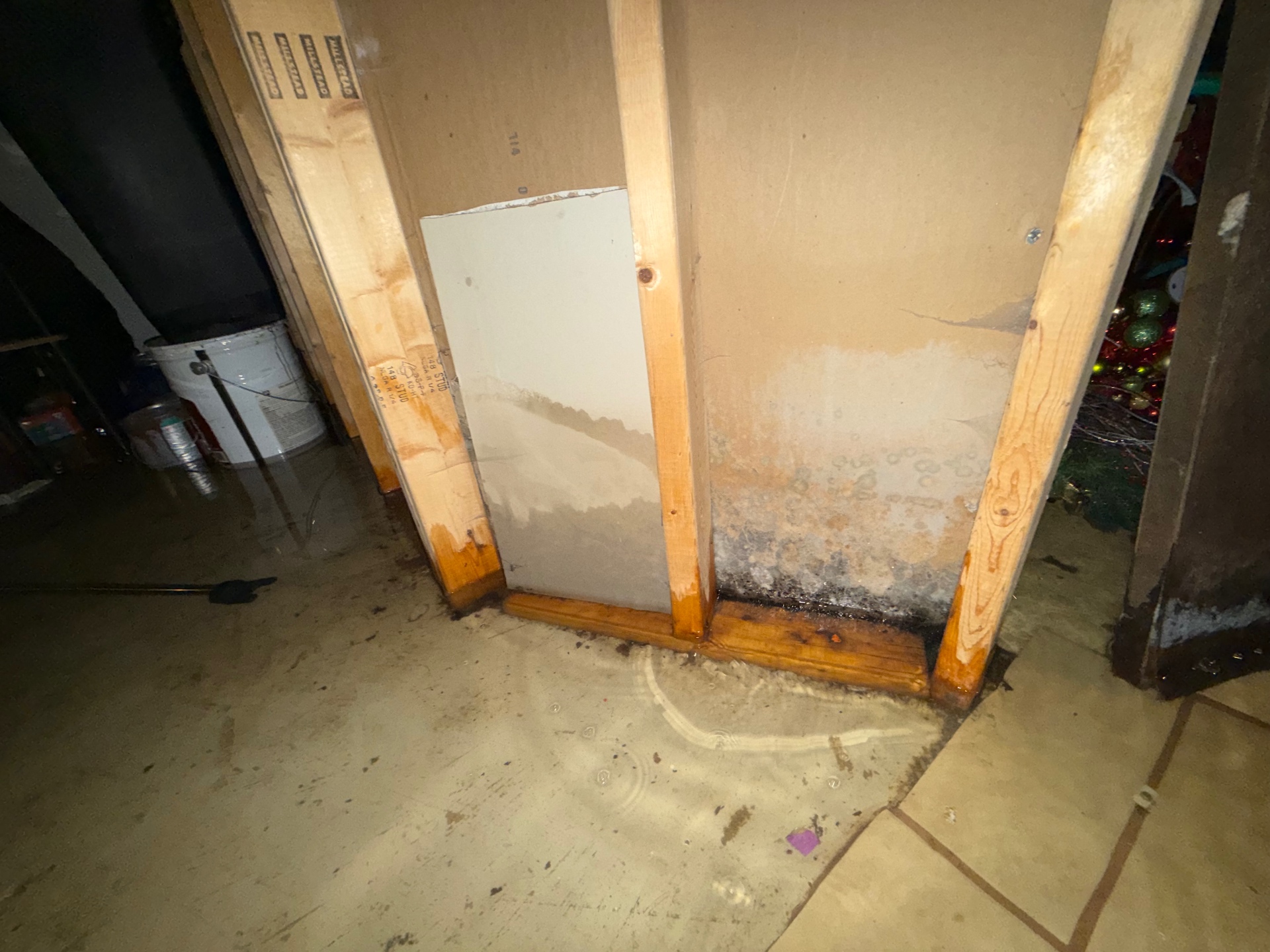 Water staining on exposed basement wall framing and wallboard during a floor-drain flooding loss